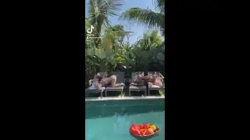 Keseharian Di Villa Bali Ngentot Sepuasnya Becek Banjir